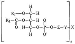 Figure imgf000007_0002