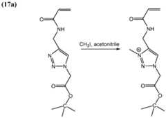 Figure imgf000077_0002