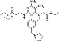 Figure BDA0000075082050001331