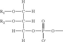 Figure US08383787-20130226-C00049