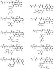 Figure imgf000030_0001