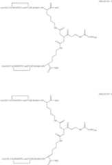 Figure US07906485-20110315-C00025