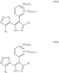 Figure US08921407-20141230-C00069