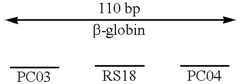 Figure US06197563-20010306-C00004