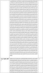 Figure BDA0002508391090000861