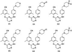 Figure BDA0002673598990000022