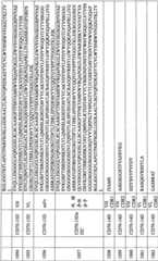 Figure BPA0000256061330002711