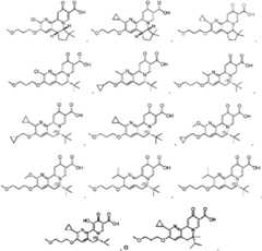 Figure imgf000016_0001