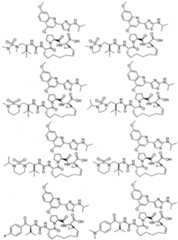 Figure imgf000134_0001