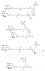Figure imgf000053_0001