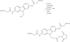 Figure US08911718-20141216-C00117