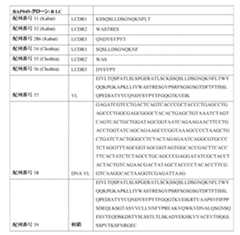 Figure 0007483732000029