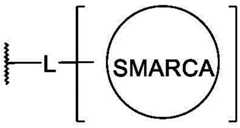 Figure BDA0003783300830000163