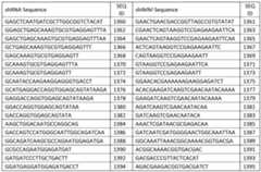 Figure imgf000058_0001
