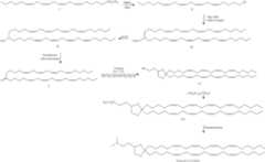 Figure US09186325-20151117-C00160