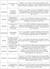 Figure PCTCN2022090268-appb-000049