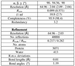 Figure imgf000107_0001
