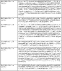 Figure imgf000520_0001