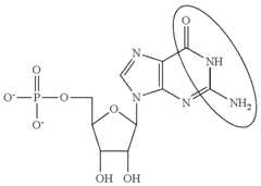 Figure US09220755-20151229-C00095