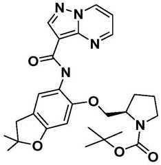 Figure BDA0001702803240005042