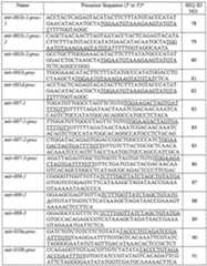 Figure imgf000014_0001