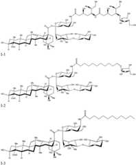 Figure BDA0003625098970000211