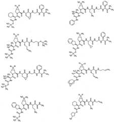 Figure imgf000079_0002