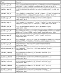 Figure imgf000599_0001