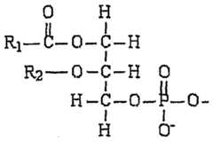 Figure imgf000086_0001
