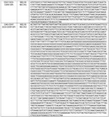 Figure imgf000153_0001