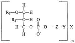 Figure imgf000051_0002
