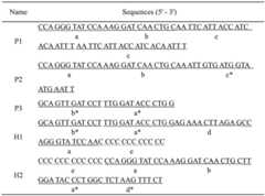 Figure BDA0002414800190000101