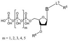 Figure BDA0003670511740003721