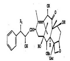 Figure 112007083939834-pat00001