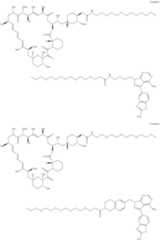 Figure US11364300-20220621-C00415