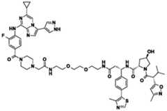 Figure BDA0002964098100002081