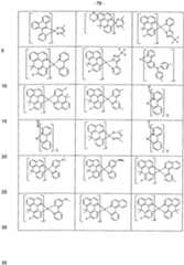 Figure imgf000079_0001