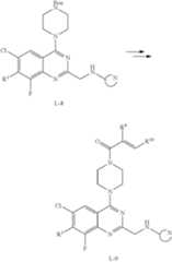 Figure US10829458-20201110-C00335