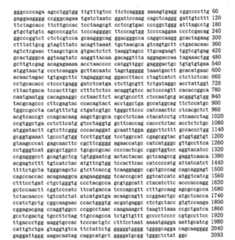 Figure 109103078-A0101-12-0141-145