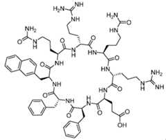 Figure imgf000119_0001