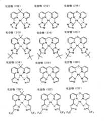 Figure G2009101683156D00581