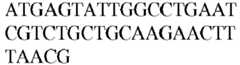 Figure imgb0492
