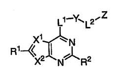 Figure 112007011503269-PCT00312