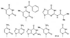 Figure JPOXMLDOC01-appb-C000016