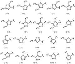 Figure imgf000013_0002
