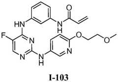 Figure BDA0001453135130003033