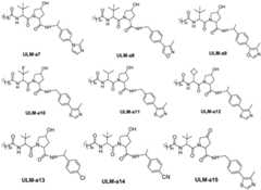 Figure GDA0003638934920001041