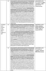 Figure imgf000069_0001