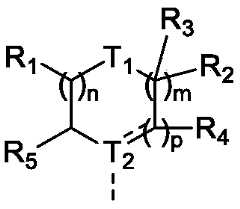 Figure PCTCN2022074782-appb-000010