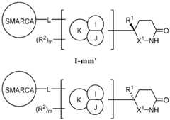 Figure imgf000080_0002